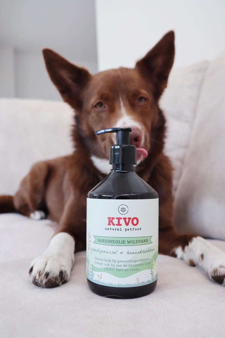 ACEITE DE SARDINA: MEJILLÓN DE LABIOS VERDES Y CARTÍLAGO DE TIBURÓN (500 ml)