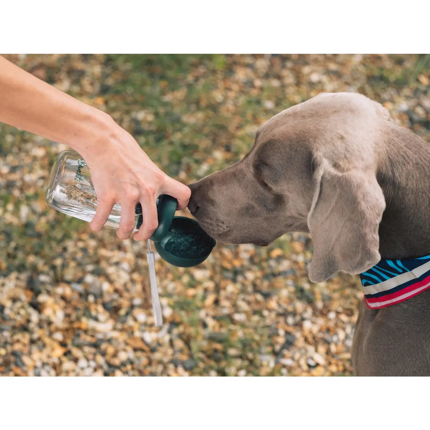 BOTELLA DE AGUA FRENCH BANDIT