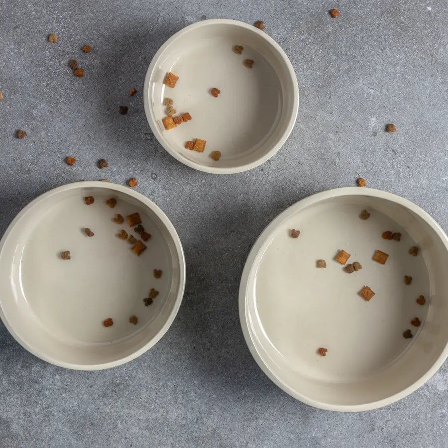 CUENCO DE COMIDA DE CERÁMICA FENNEC