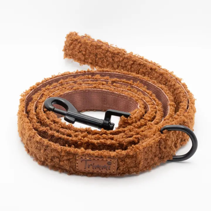 Correa cinturón marron