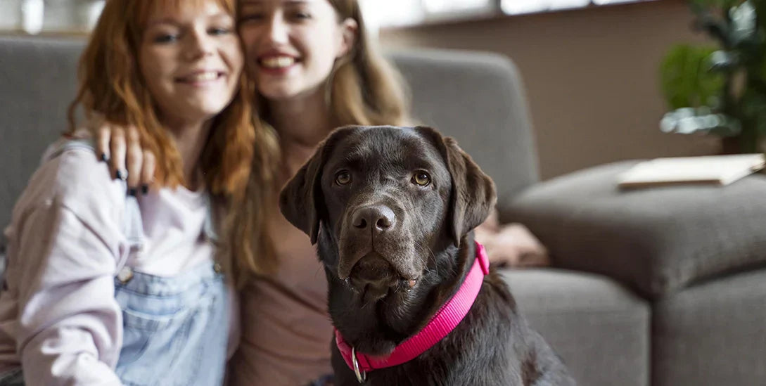 Abrir tu hogar, abrir tu corazón con razón