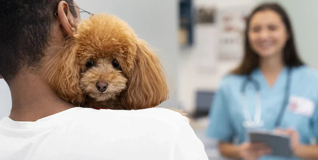Planes de salud vs. Seguros