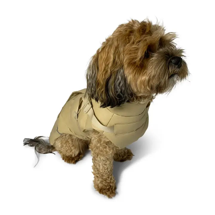 Abrigo y arnés latte