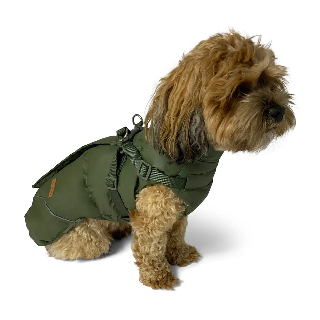 Abrigo y arnés verde
