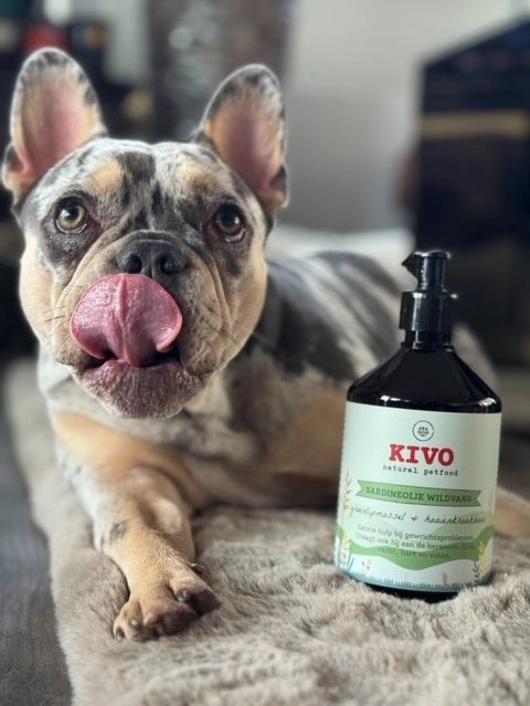 ACEITE DE SARDINA: MEJILLÓN DE LABIOS VERDES Y CARTÍLAGO DE TIBURÓN (500 ml)