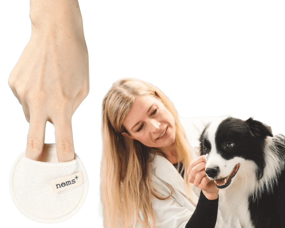 ALMOHADILLAS DE CUIDADO DE BAMBU LAVABLES, NOMS+