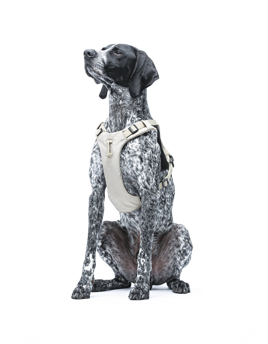 Arnés suave acolchado Beige