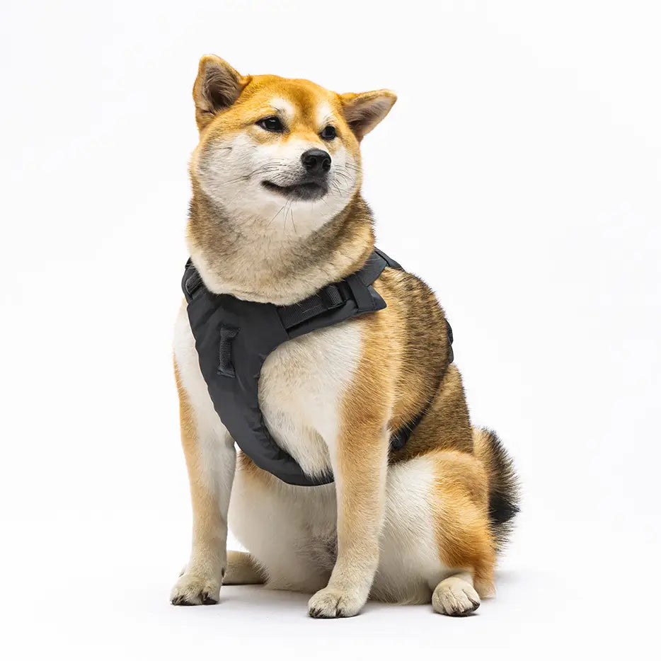 Arnés suave acolchado gris antracita