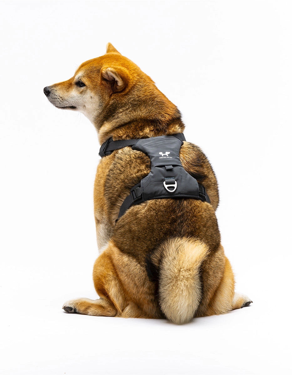 Arnés suave acolchado gris antracita