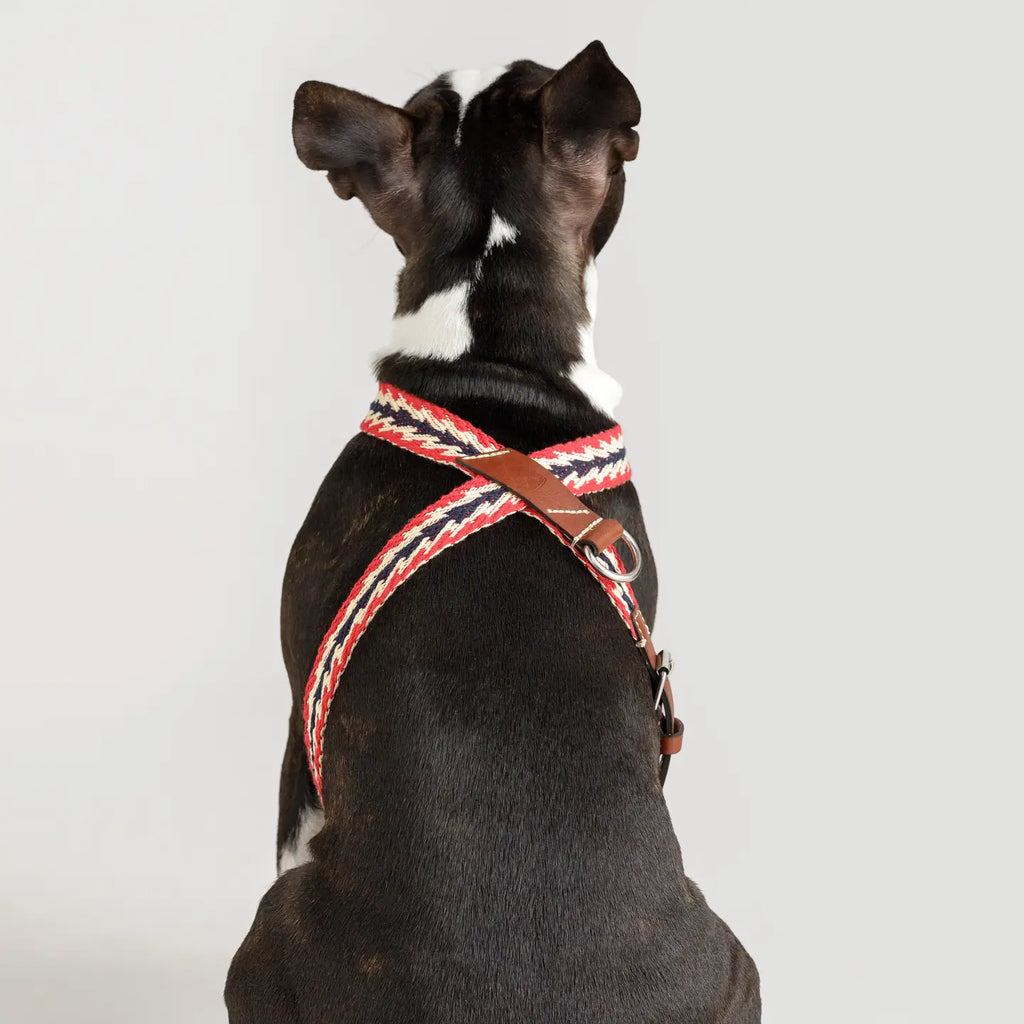 Arnés ajustable peruvian arrow red