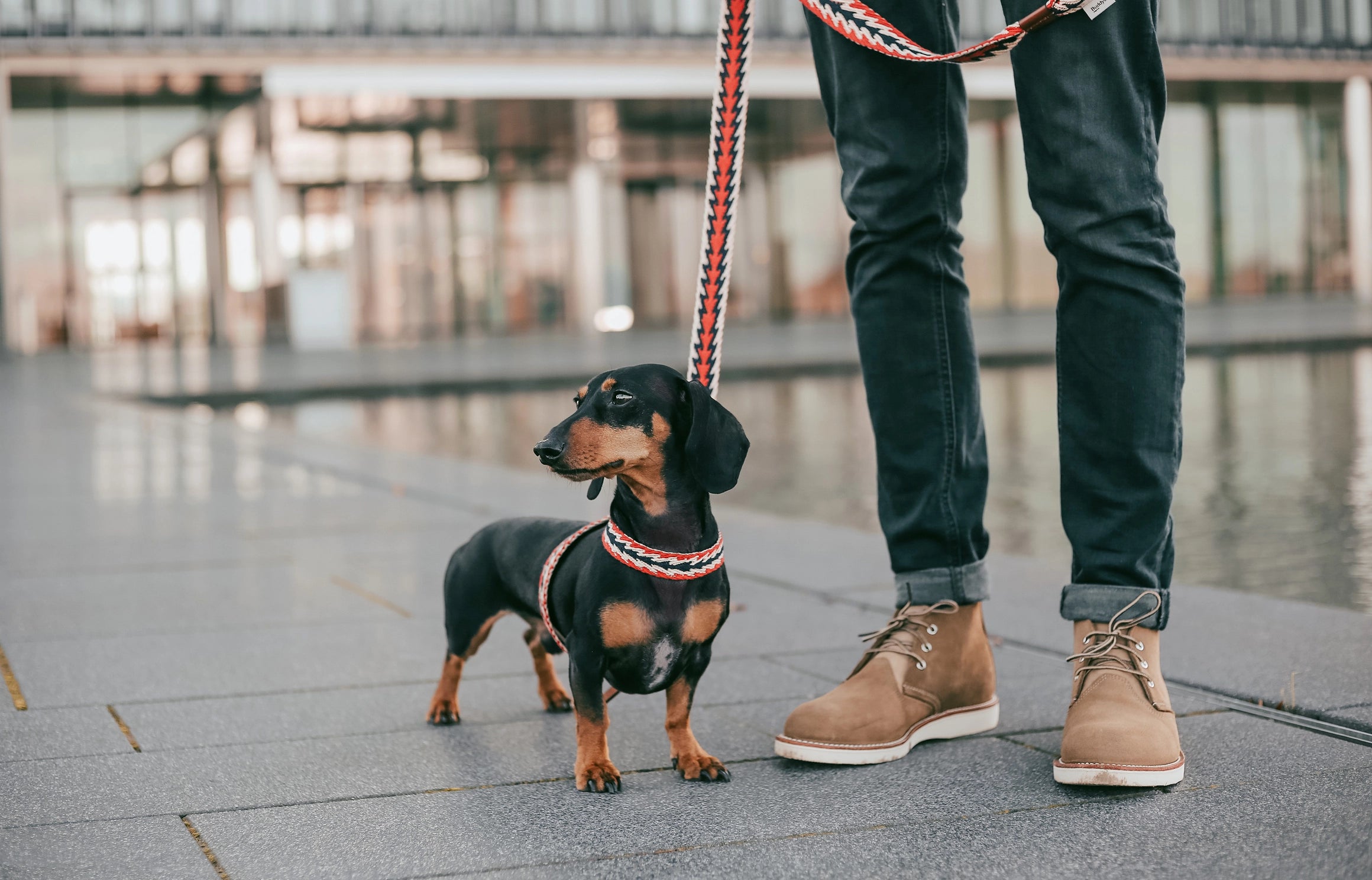 Arnés ajustable peruvian arrow red