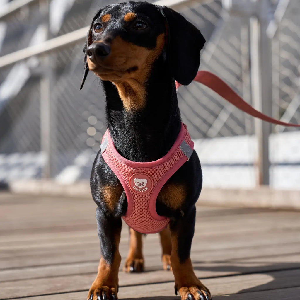 Arnés body terracota