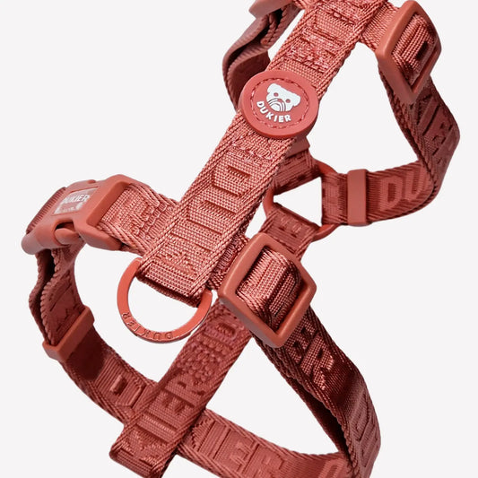 Arnés clásico terracota