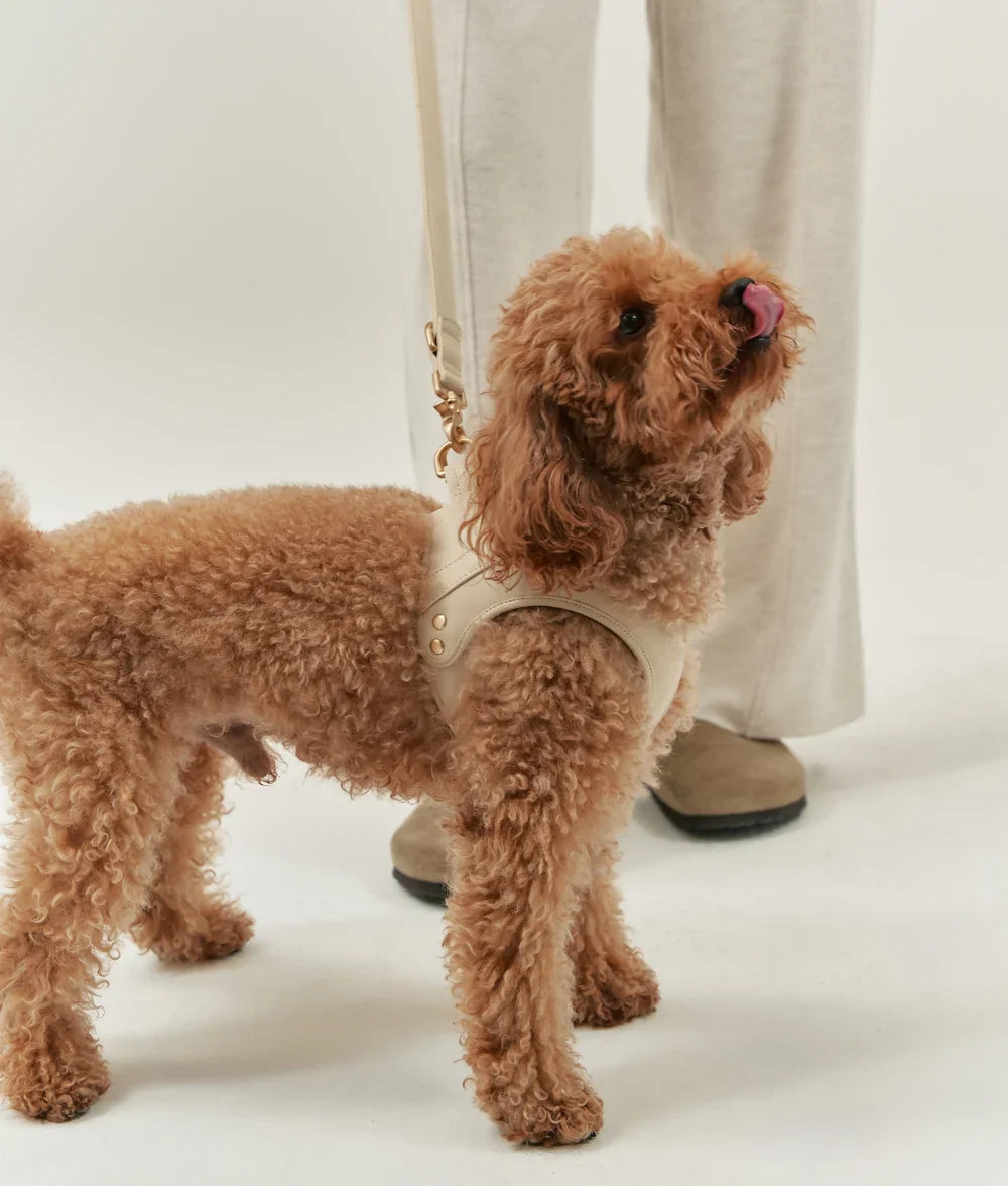 Arnés cuero vegano beige jala