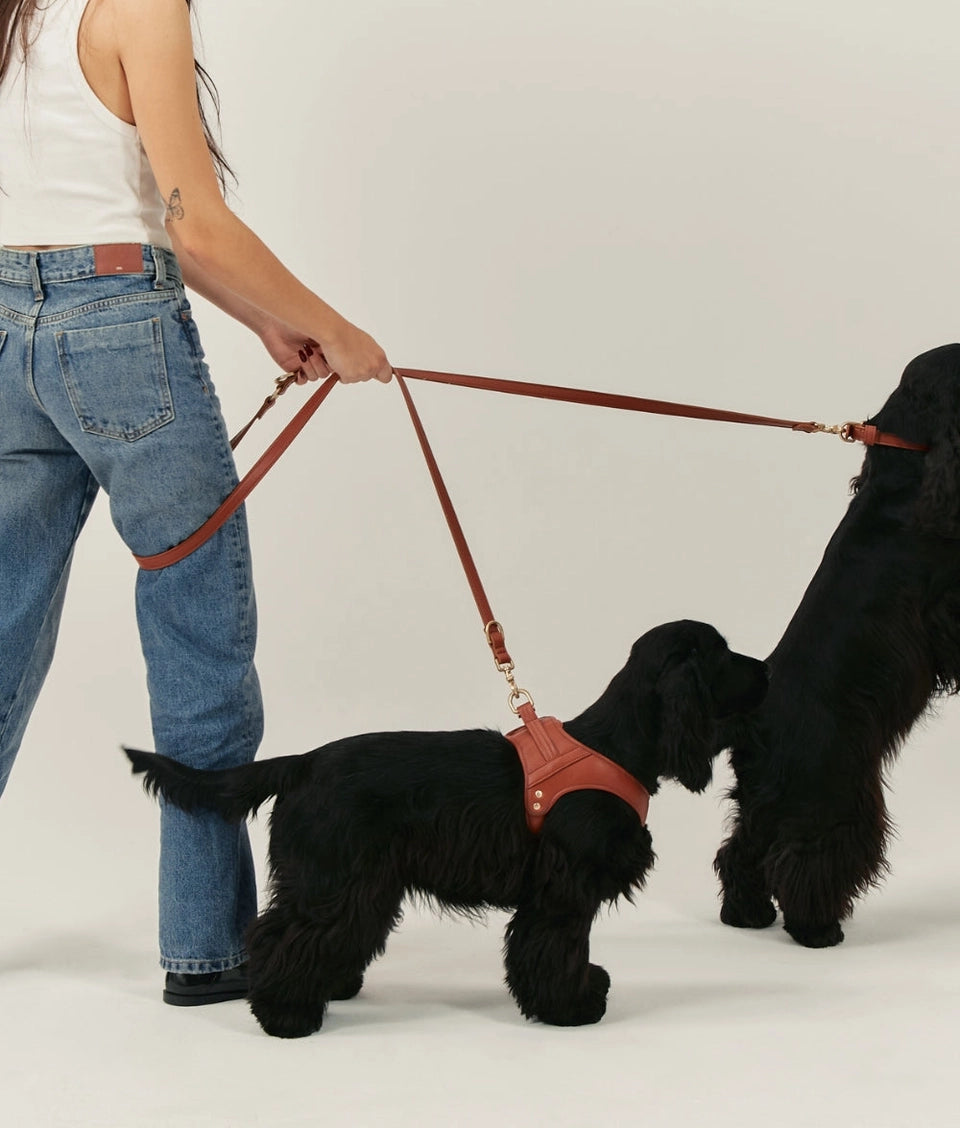 Arnés cuero vegano marrón jala