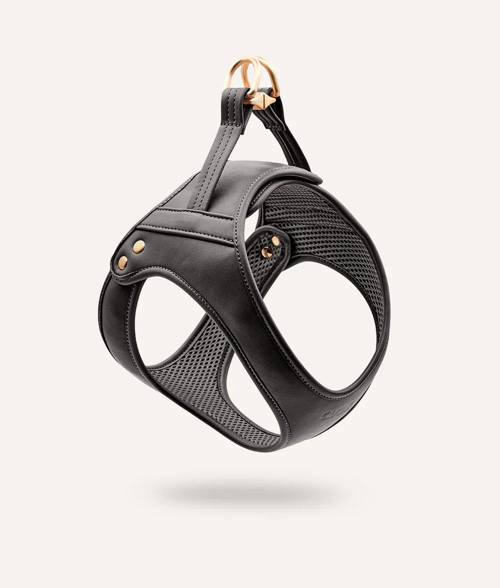 Arnés cuero vegano negro jala