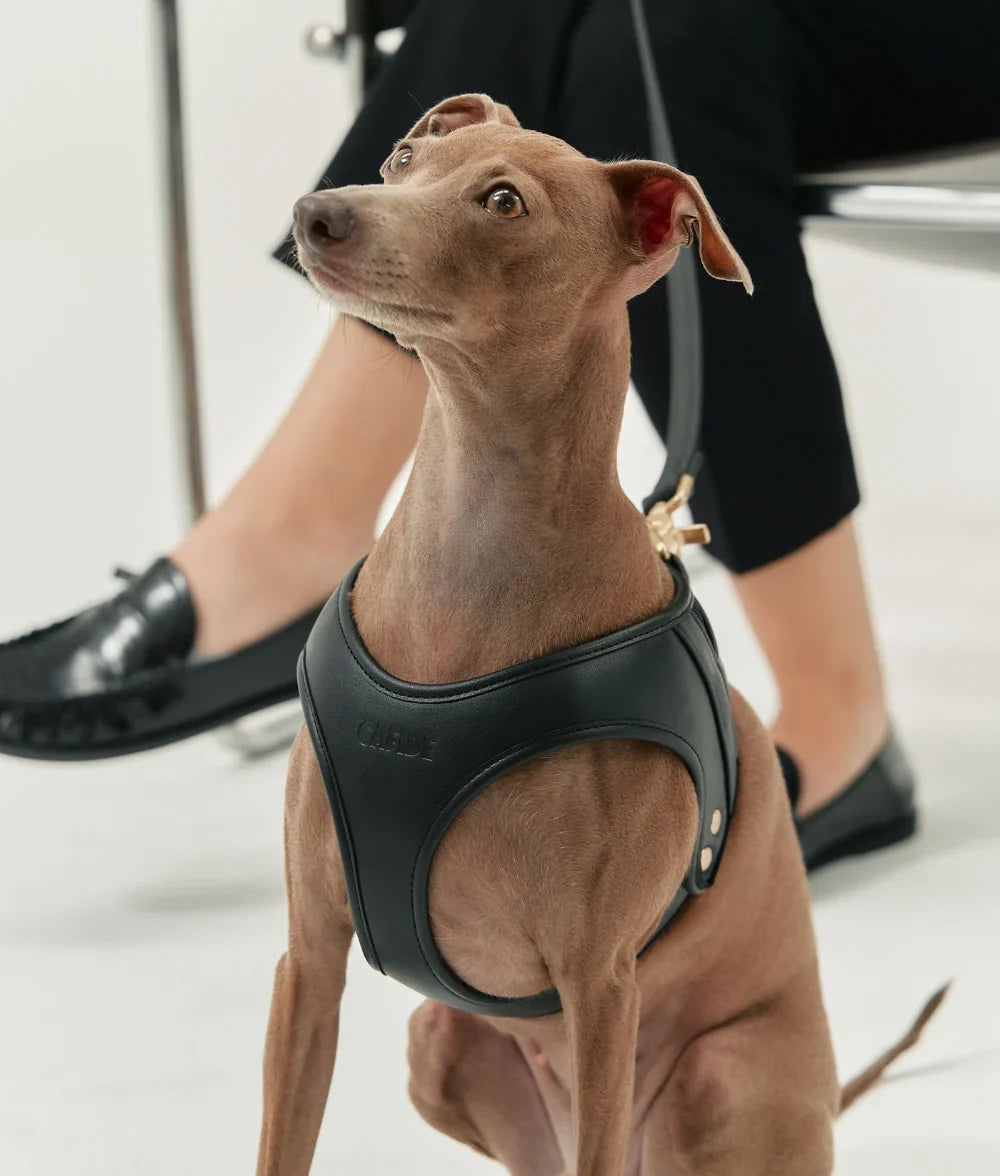 Arnés cuero vegano negro jala