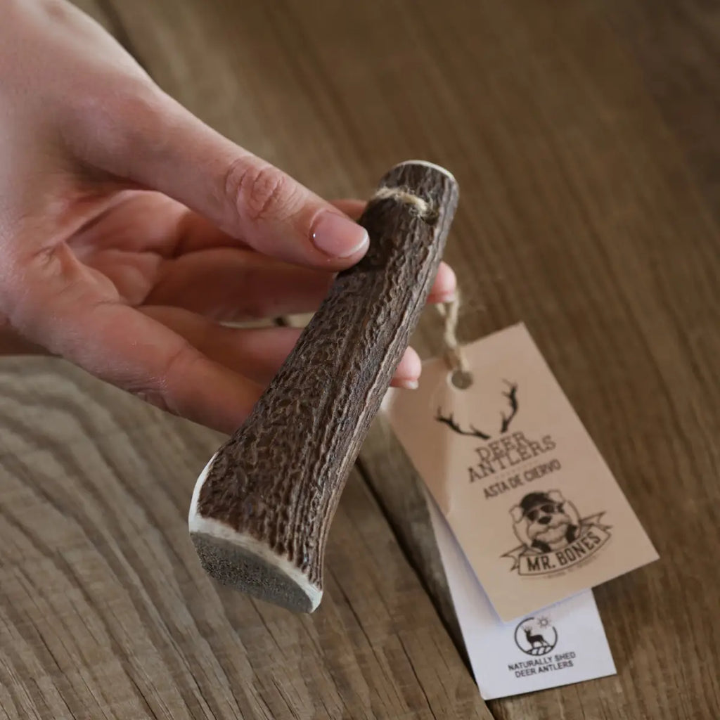 ASTA DE CIERVO S MORDEDOR NATURAL PARA PERROS (40 - 75g)