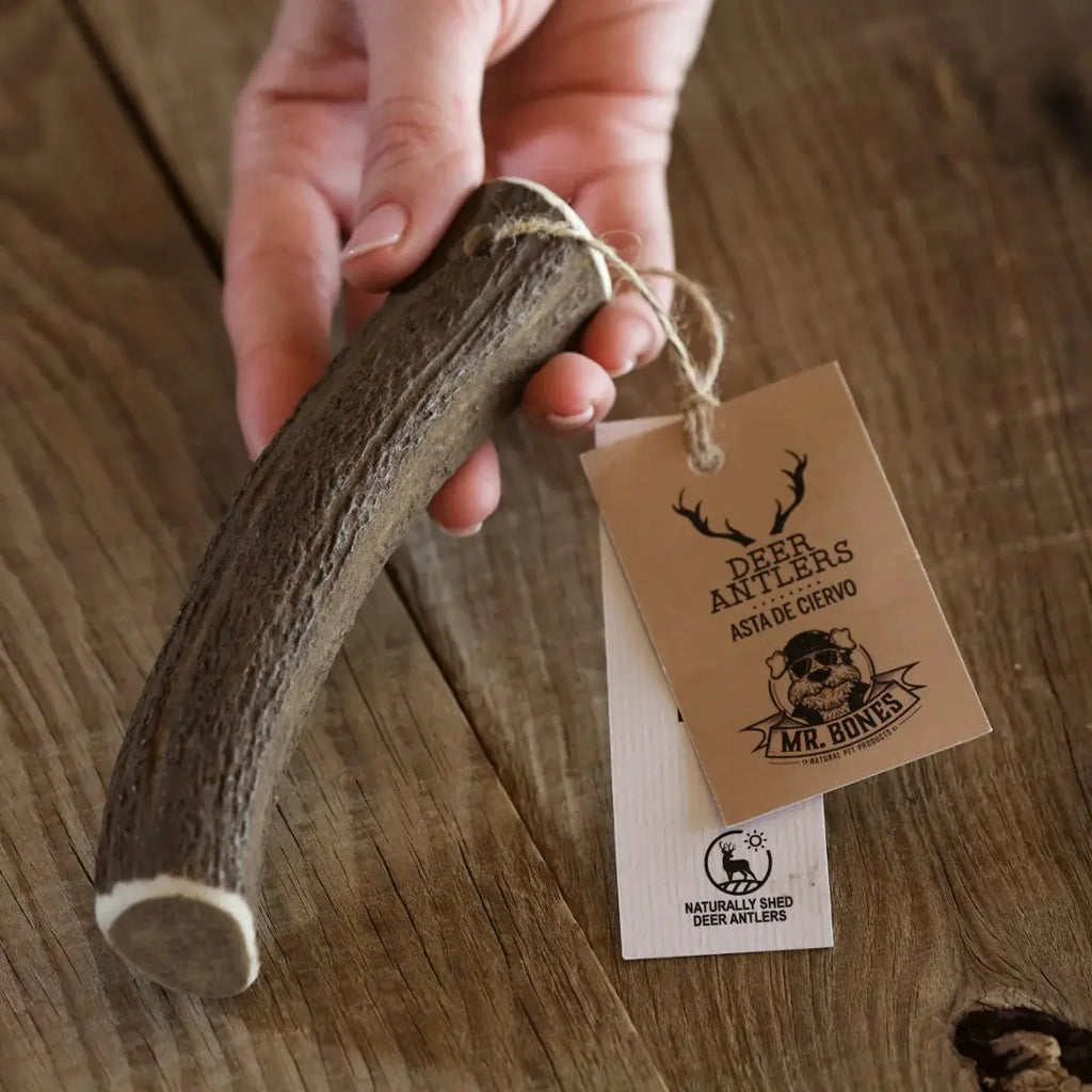 ASTA DE CIERVO M MORDEDOR NATURAL PARA PERROS (76 - 150g)