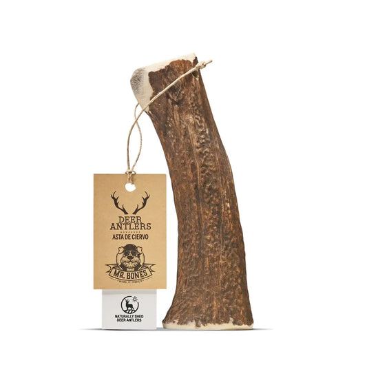 ASTA DE CIERVO L MORDEDOR NATURAL PARA PERROS (156 - 225g)