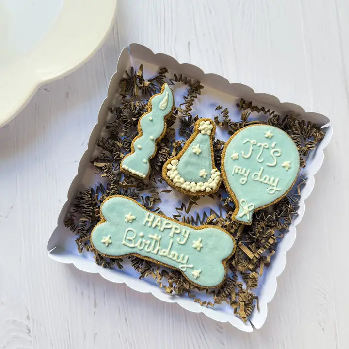 CAJA DE CUMPLEAÑOS – 4 GALLETAS GLASEADAS ARTESANALES