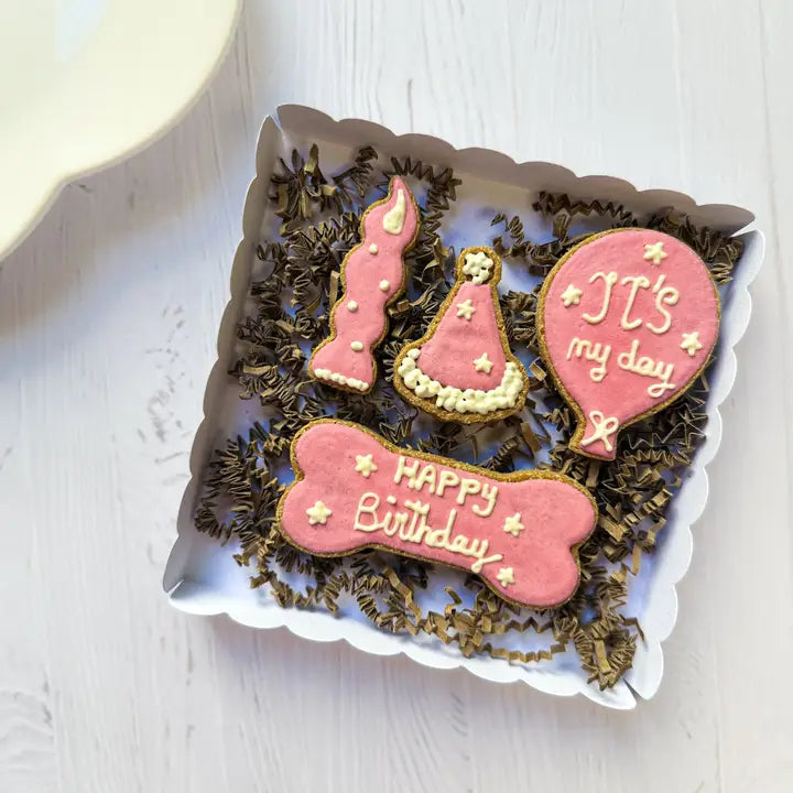 CAJA DE CUMPLEAÑOS – 4 GALLETAS GLASEADAS ARTESANALES