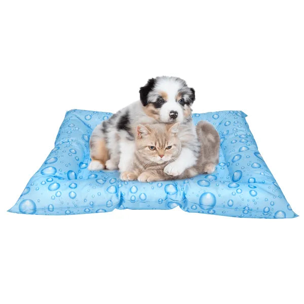 CAMA FRIA CON GOTAS (56x46cm)