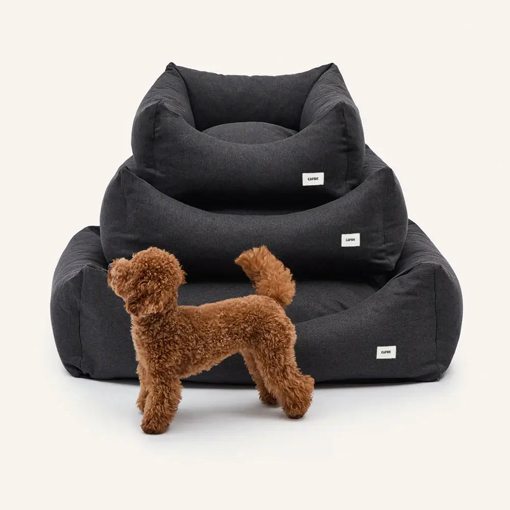 Cama antracita snozy