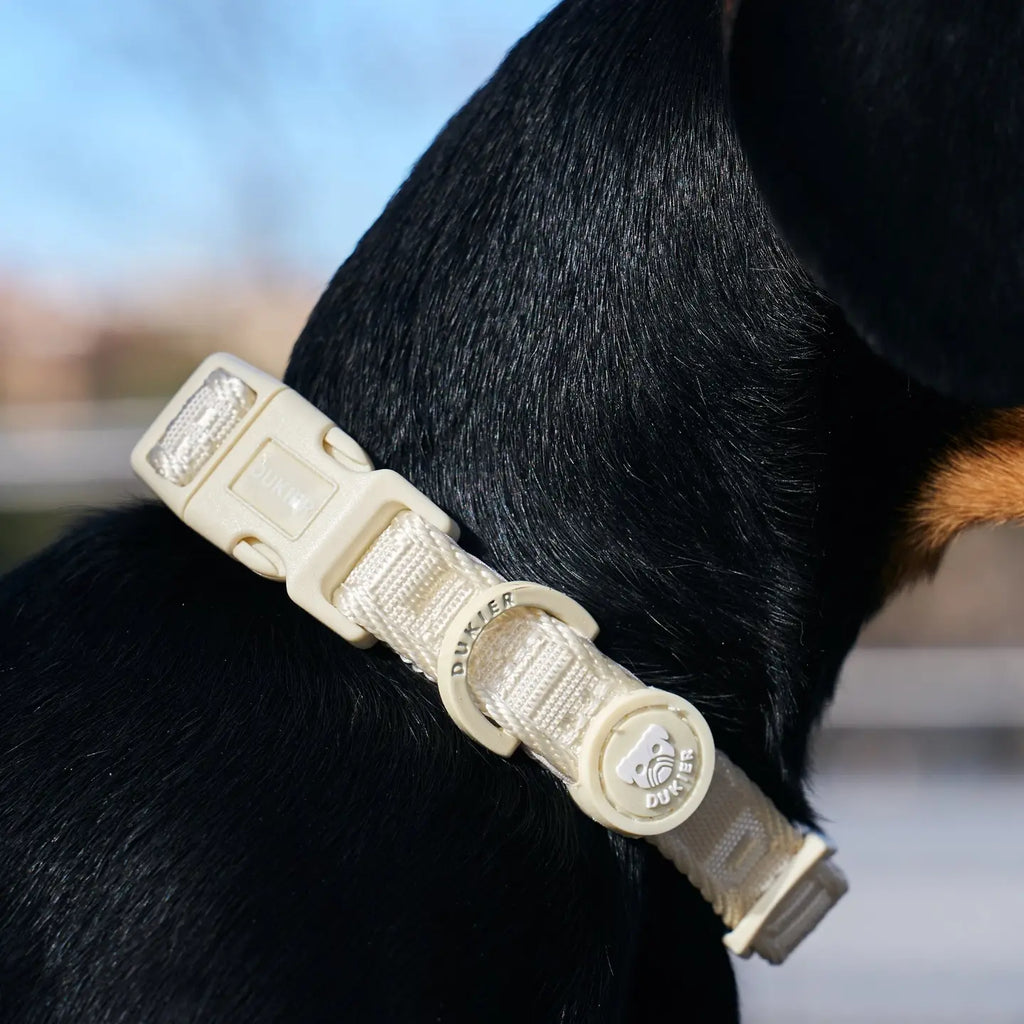 Collar Beige