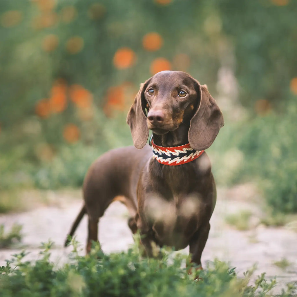 COLLAR PERUVIAN ARROW RED