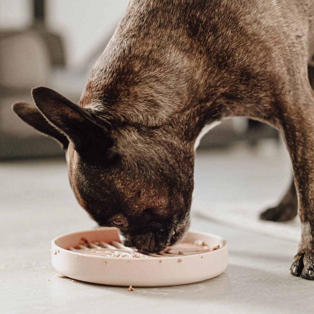 COMEDERO ANTIVORACIDAD & ALFOMBRILLA LAMEDORA 2 EN 1  WATER NUDE