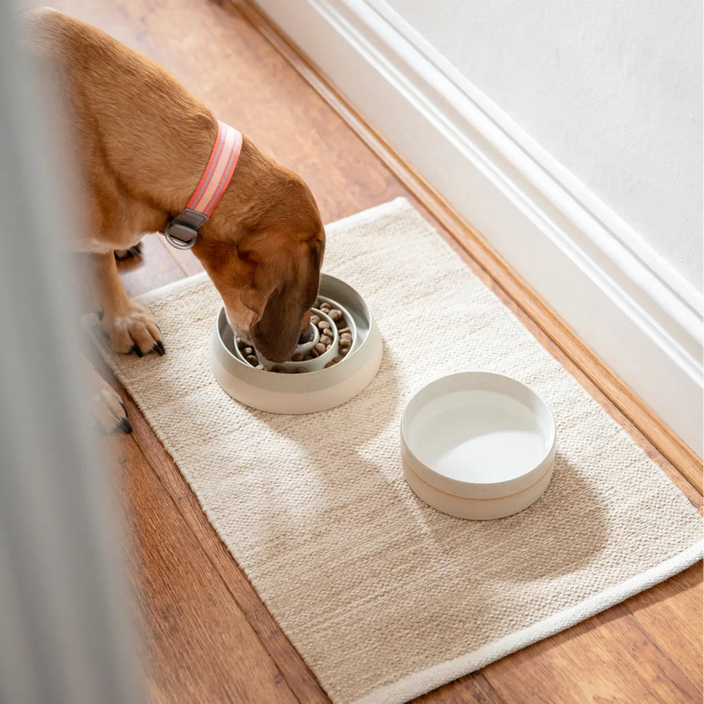 COMEDEROS LENTOS  PAWNESS