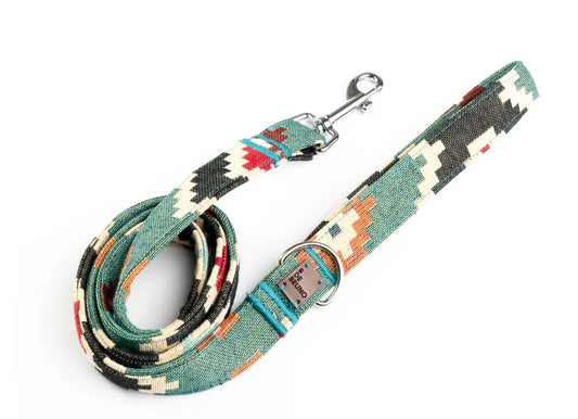 CORREA PARA PERRO VERDE TELMO BDE BRUNO