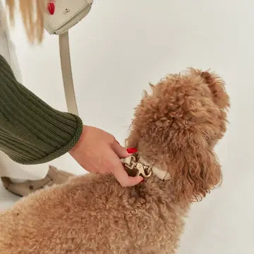 CORREA CUERO VEGANO BEIGE JALA CAFIDE