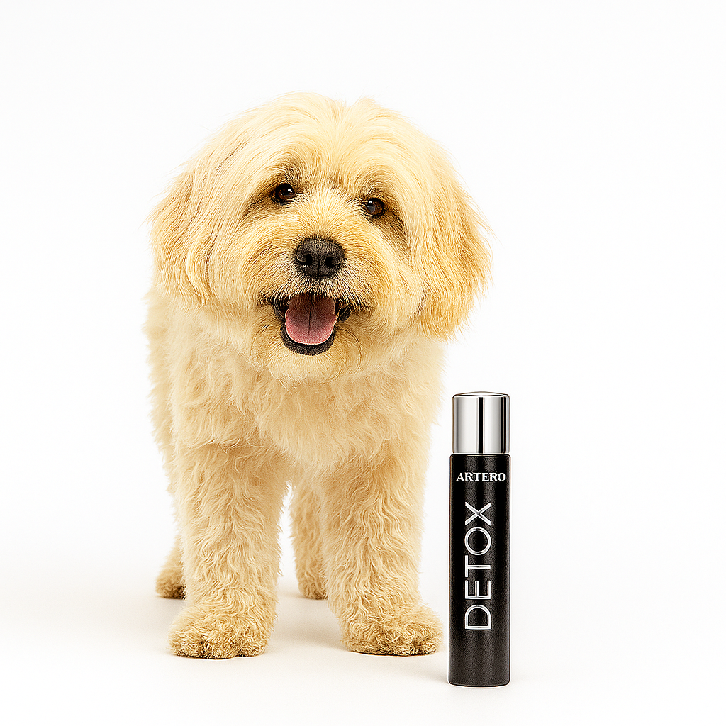 PERFUME DETOX ARTERO (90 ML)