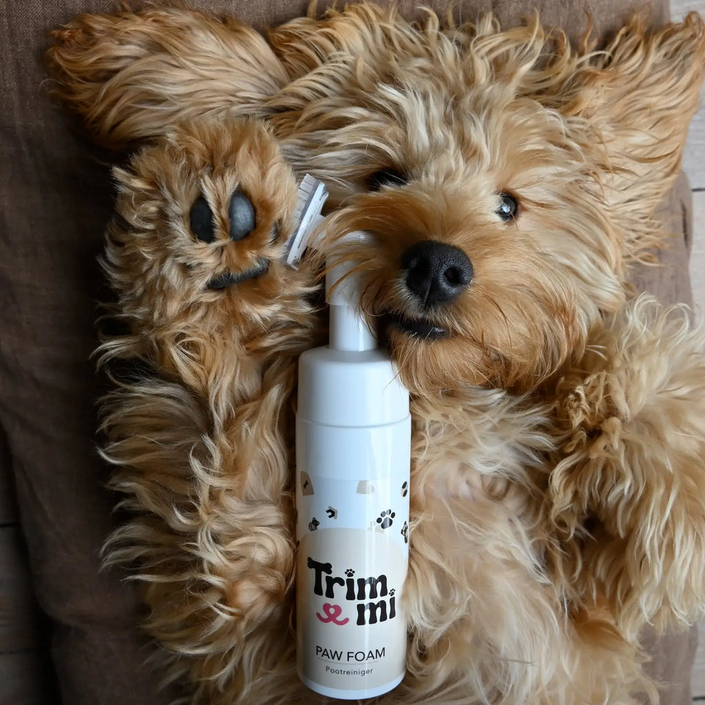 ESPUMA - LIMPIADOR DE PATAS TRIMMI