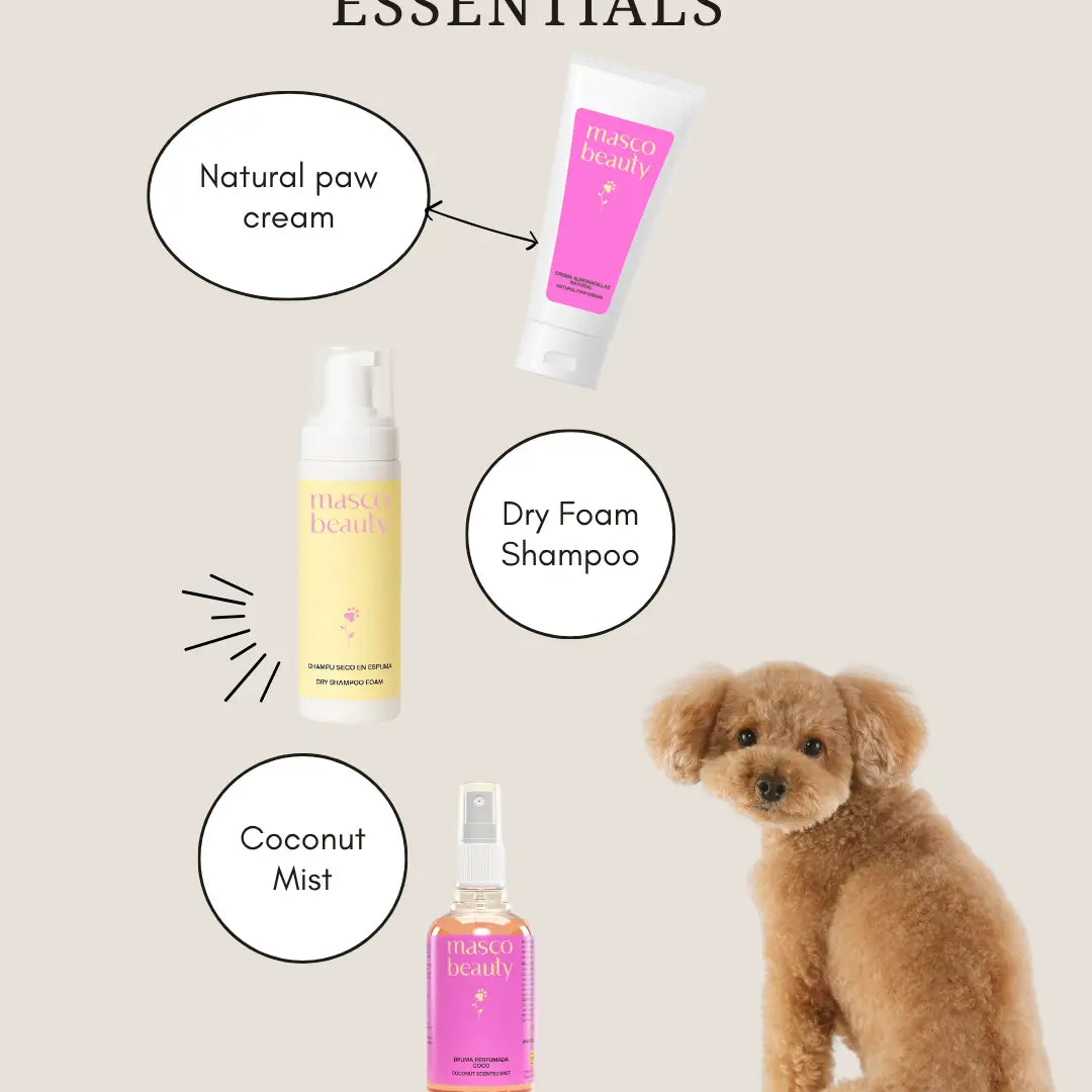 KIT ASEO DE VIAJE MASCO BEAUTY