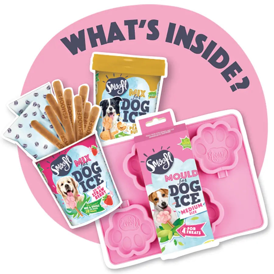 KIT DE INICIO HELADO PERRO MEDIANO (10KG - 25KG)