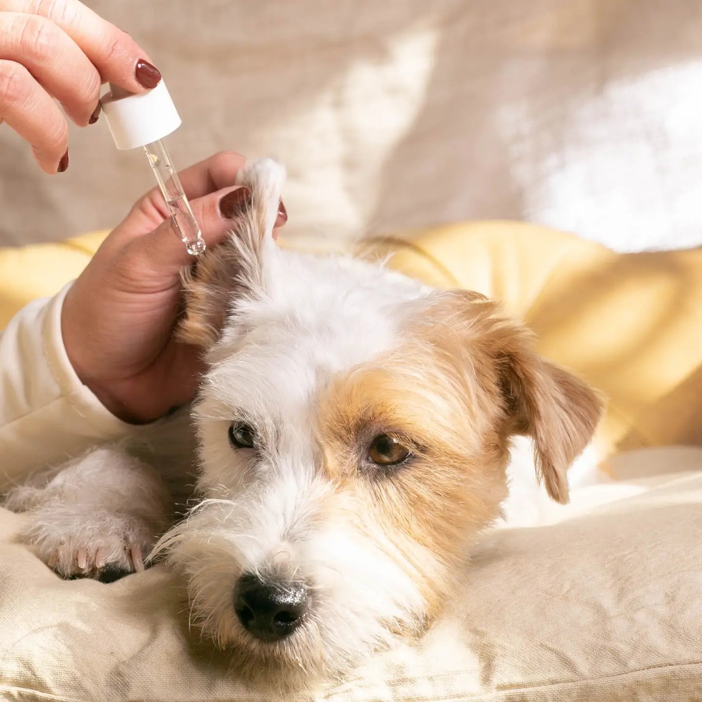 LIMPIADOR ÓTICO MASCO BEAUTY