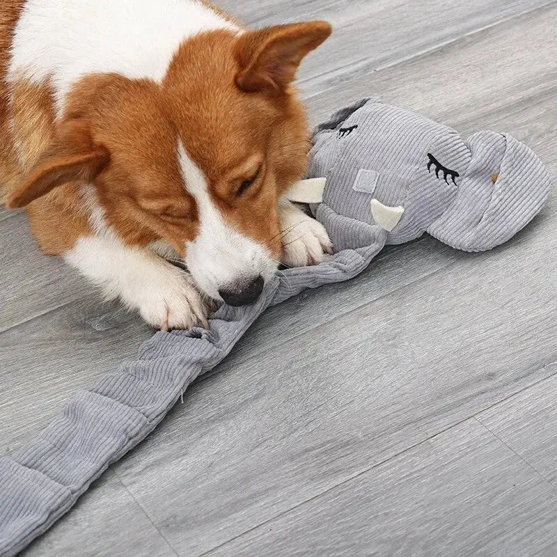 JUGUETE ELEFANTE EXPLORADOR