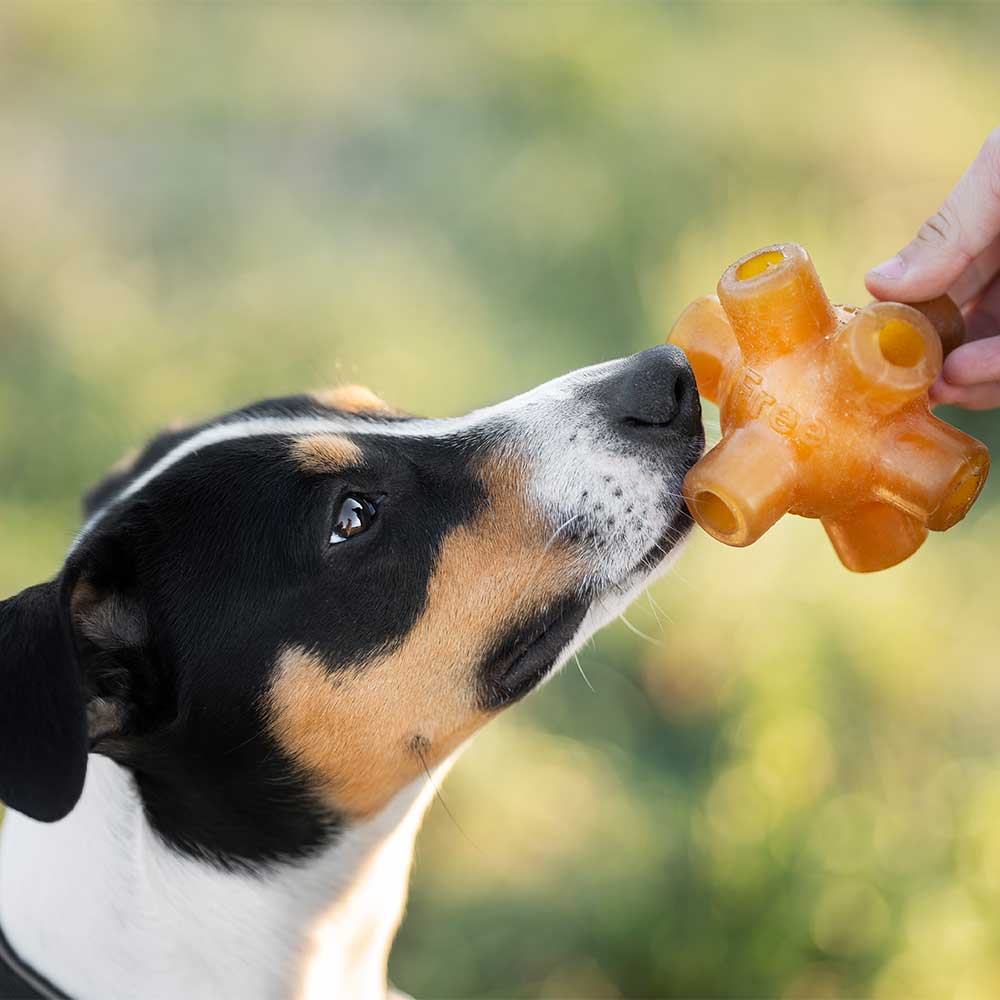 JUGUETE PARA PERRO RUB FREE JUMP RETORN