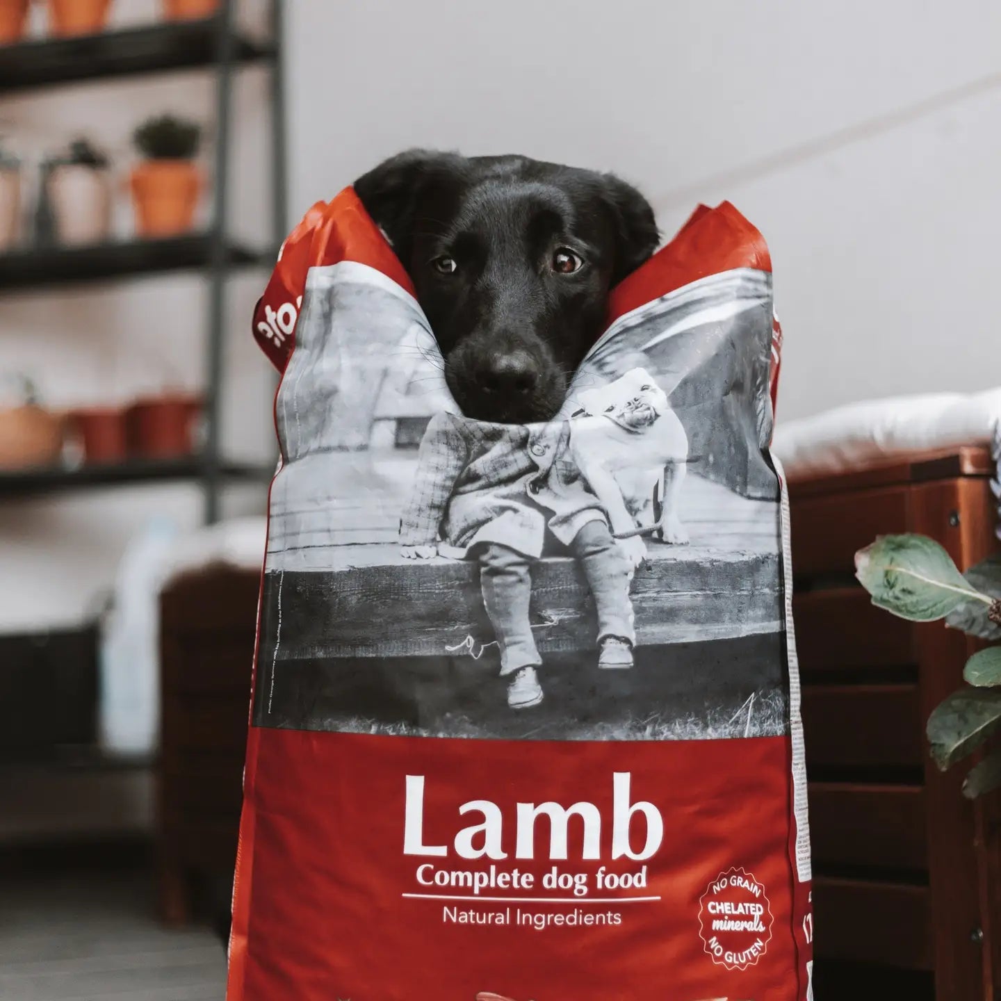 PIENSO NATURAL DE CORDERO CROQUETA MEDIANA