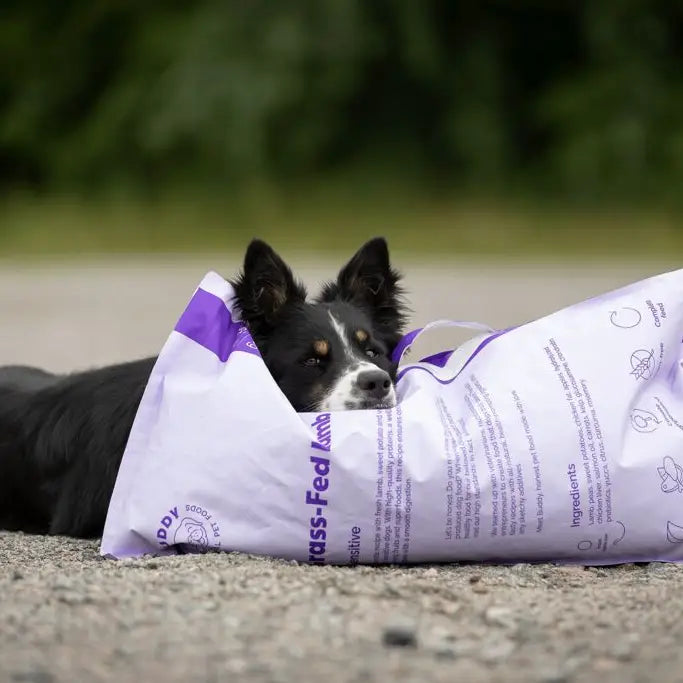 PIENSO NATURAL DE CORDERO