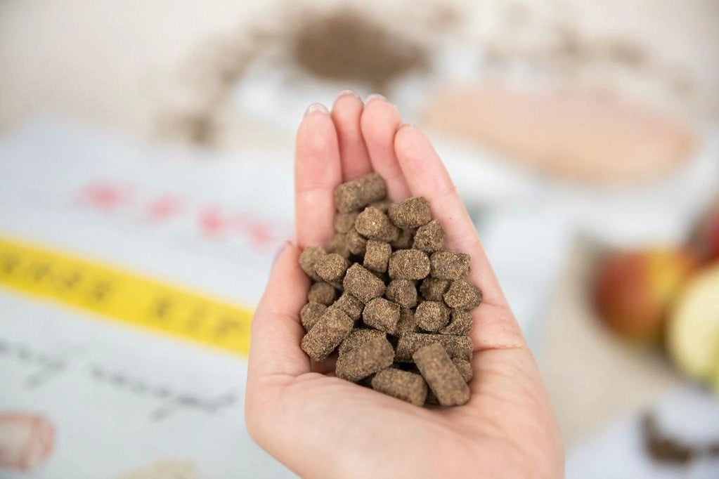 POLLO FRESCO, PRENSADO EN FRIO SIN GLUTEN