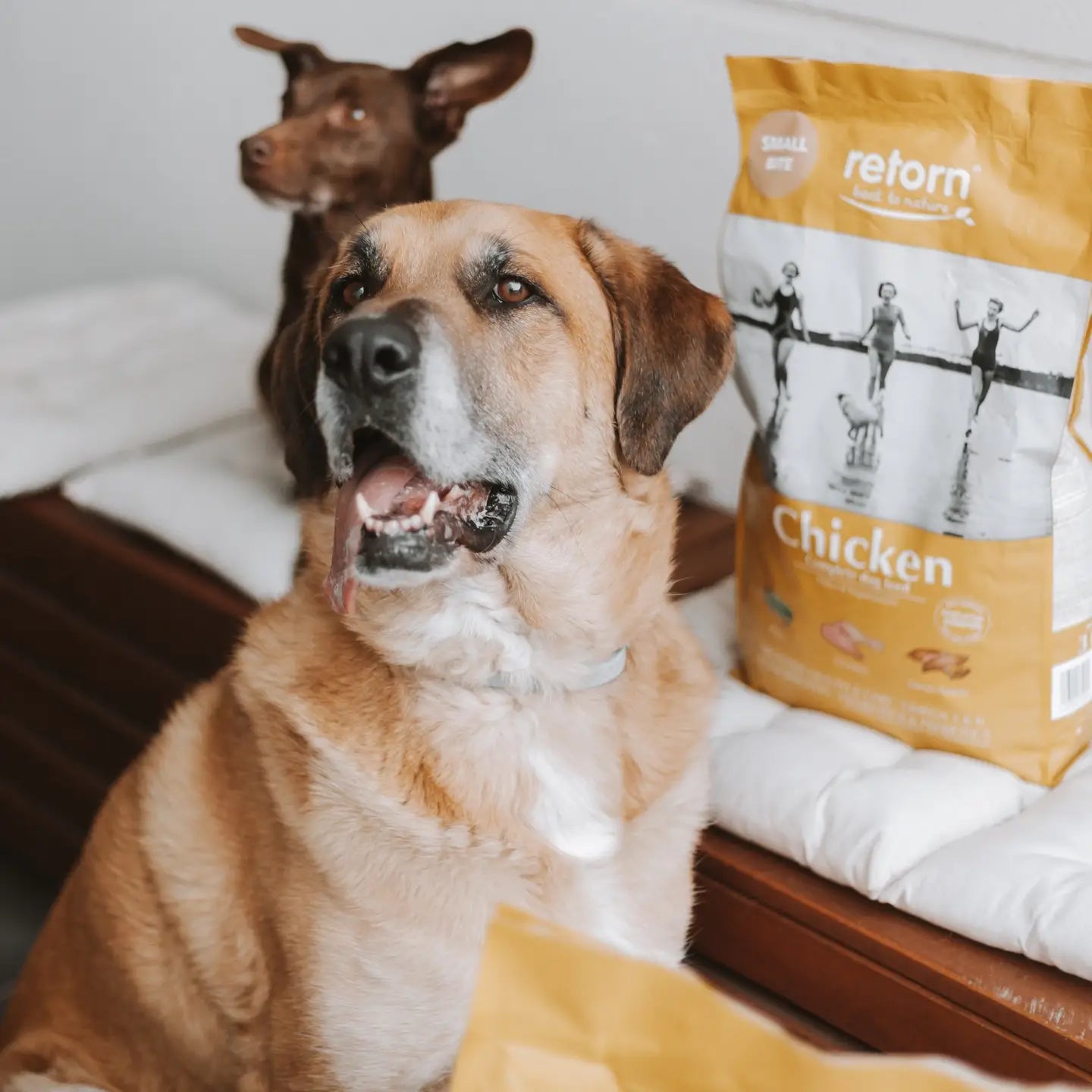 PIENSO NATURAL DE POLLO CROQUETA MEDIANA