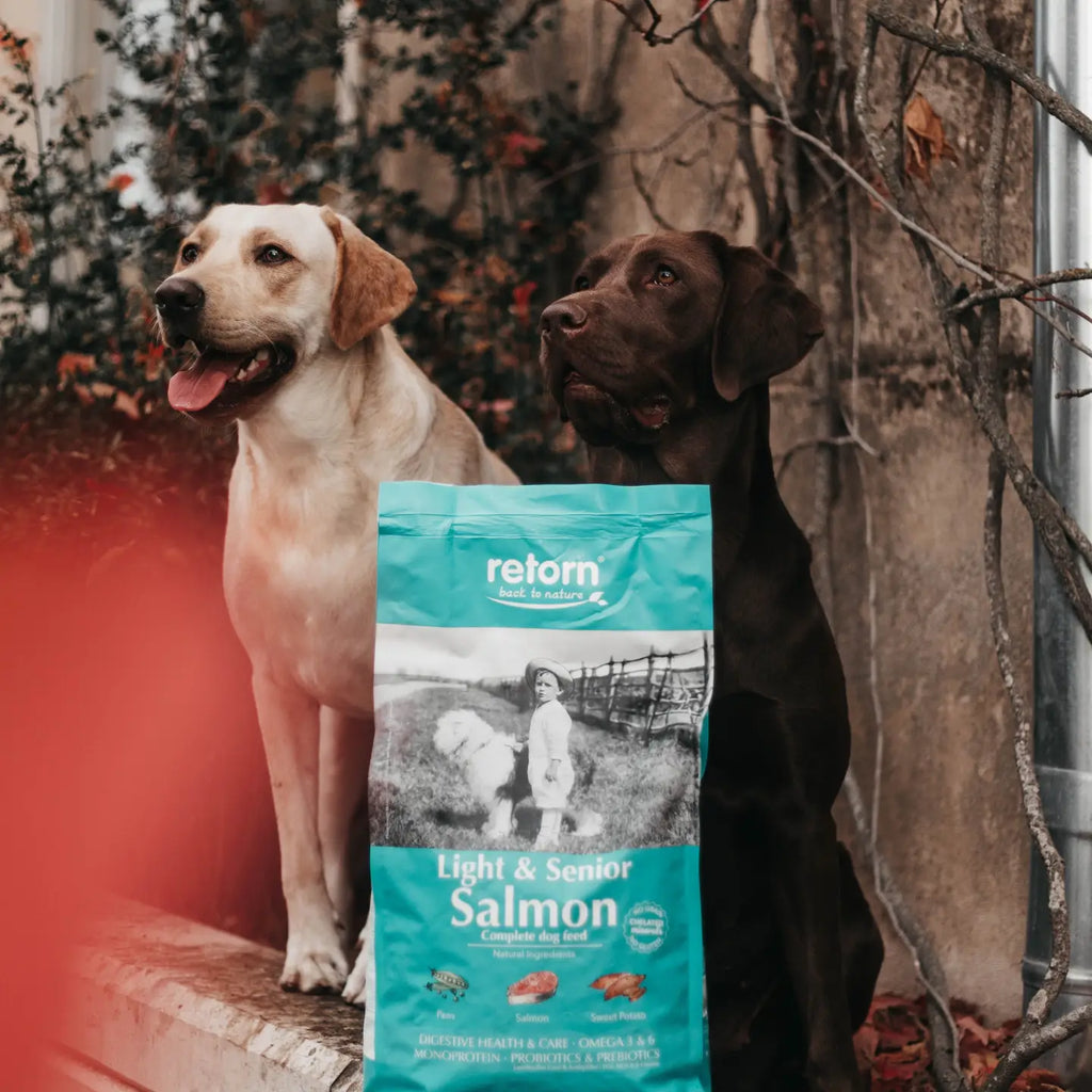 PIENSO NATURAL LIGHT & SENIOR DE SALMÓN CROQUETA MEDIANA