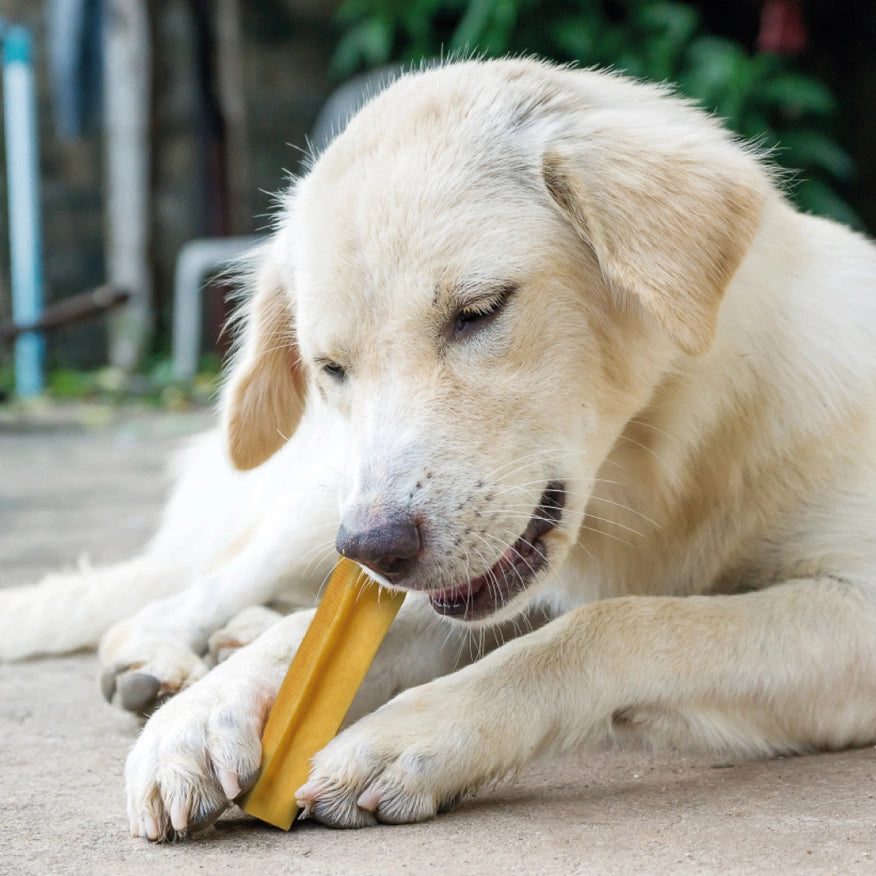 BARRA M CHURPI SNACK DE LECHE DE YAK PARA PERROS