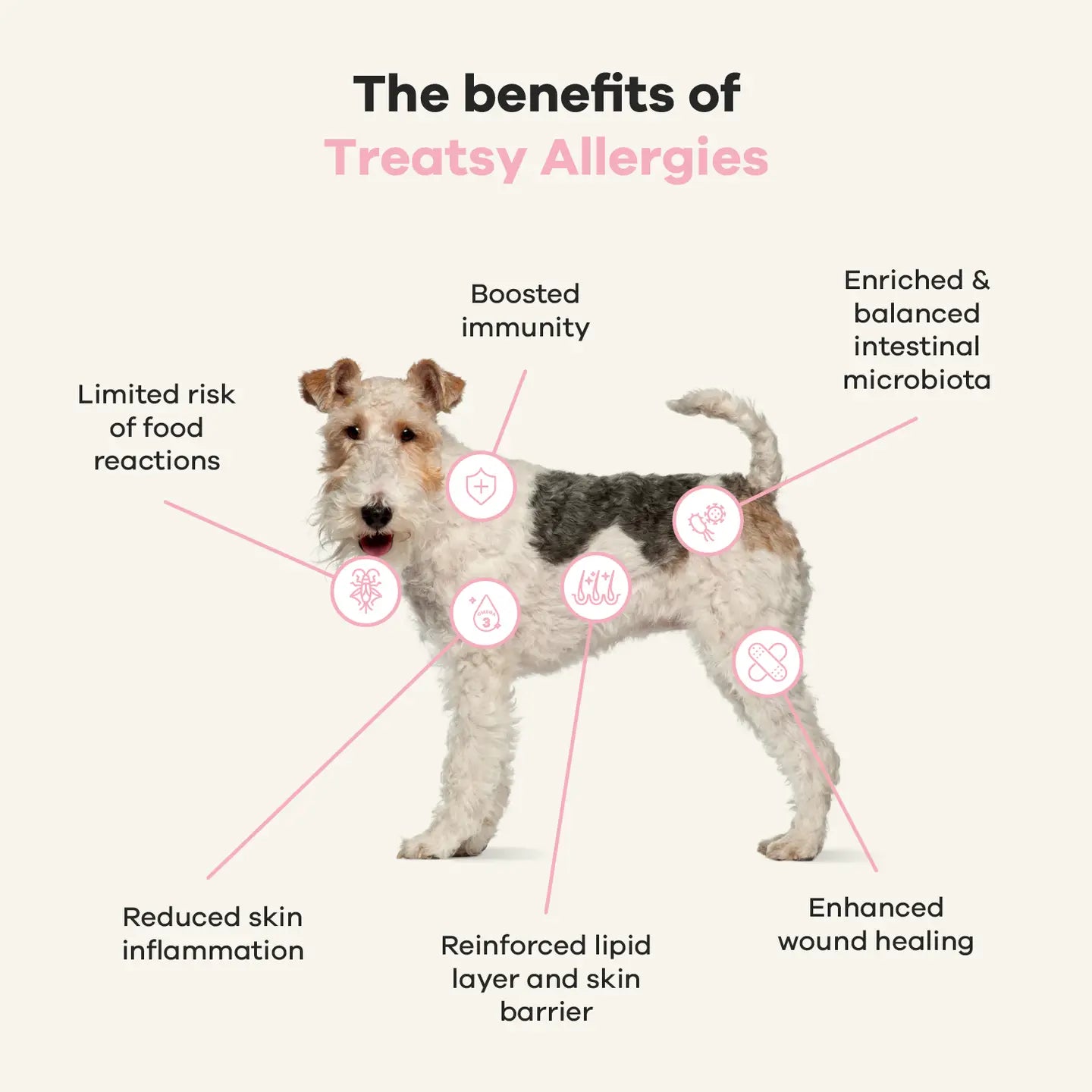 SNACK / SUPLEMENTO ANTIALÉRGICO CONTRA EL PICOR, HIPOALERGÉNICO