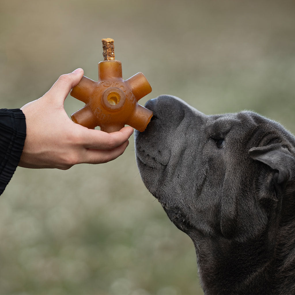 TREAT RUB STICK DENTAL DE POLLO PARA PERROS 100G