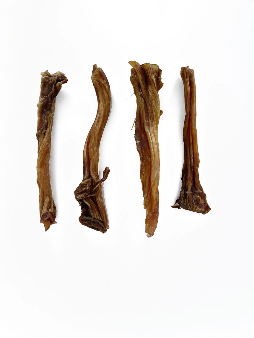 TENDÓN DE CIERVO - SNACK NATURAL PARA PERROS